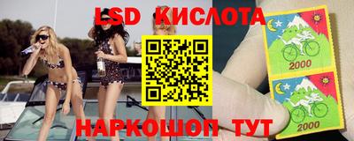 крисы Будённовск