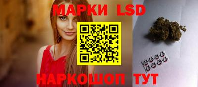 крисы Будённовск