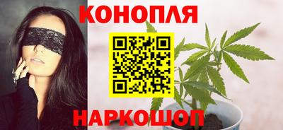 крисы Будённовск