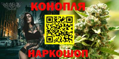 крисы Будённовск