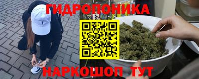 крисы Будённовск