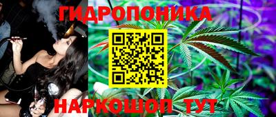 крисы Будённовск