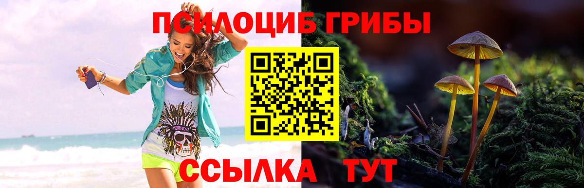 Галлюциногенные грибы ЛСД Маркс